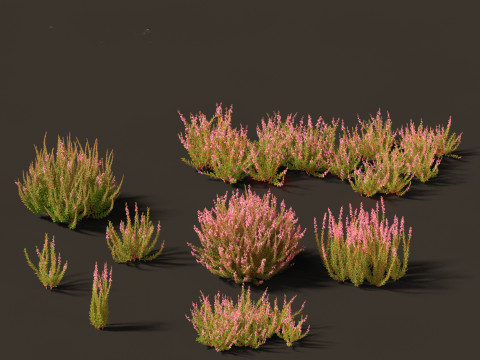 Pacote de arbustos floridos para jardim 47 Modelo 3D