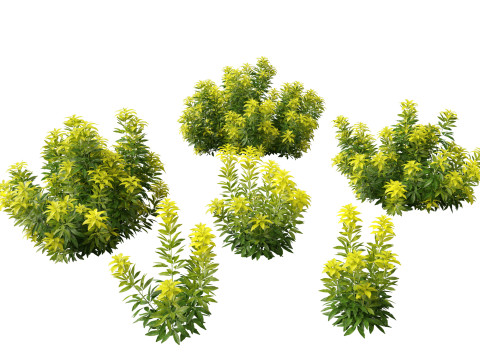 Pacote de arbustos floridos para jardim 47 Modelo 3D