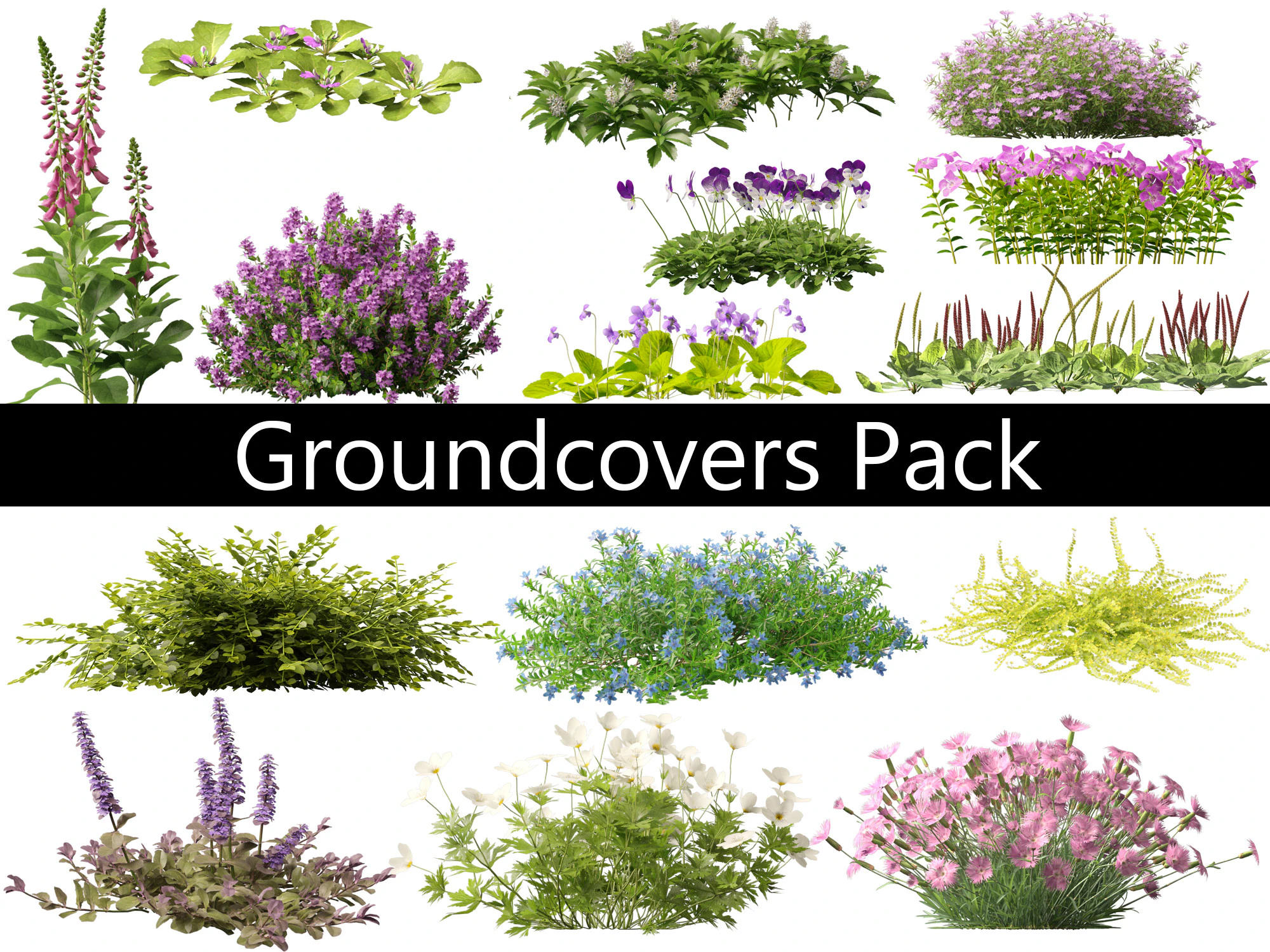 Groundcovers Pack 23 3D Model .c4d .max .obj .3ds .fbx .stl .blend 
