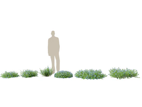 Groundcovers Pack 23 3D Model