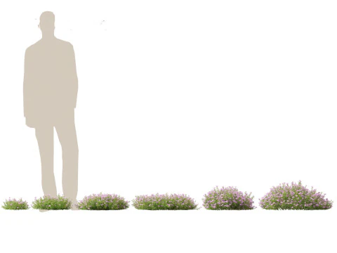 Groundcovers Pack 23 3D Model