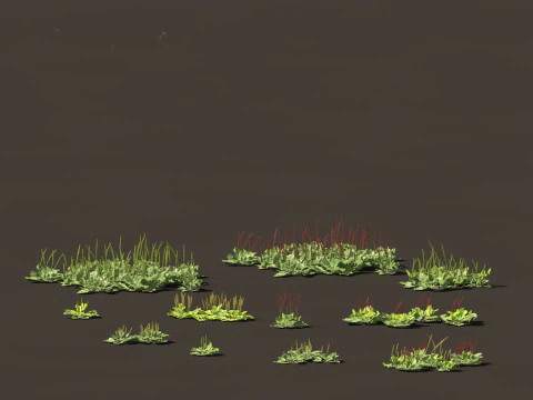 Groundcovers Pack 23 3D Model