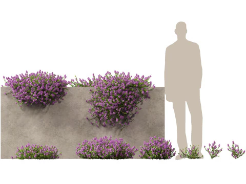Groundcovers Pack 23 3D Model
