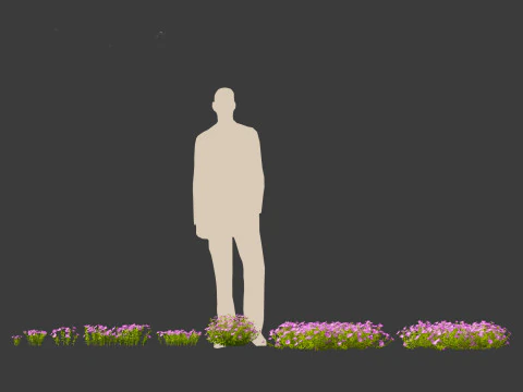 Groundcovers Pack 23 3D Model