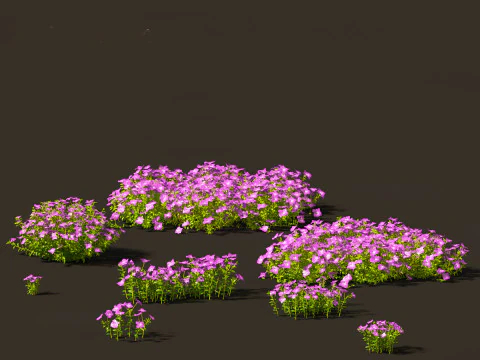 Groundcovers Pack 23 3D Model
