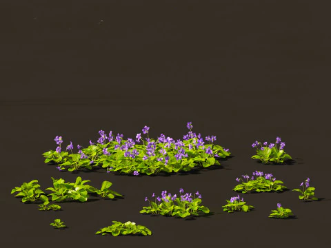 Groundcovers Pack 23 3D Model