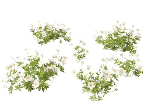 Groundcovers Pack 23 3D Model