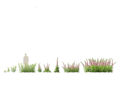 Groundcovers Pack 23 3D Model