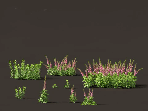Groundcovers Pack 23 3D Model