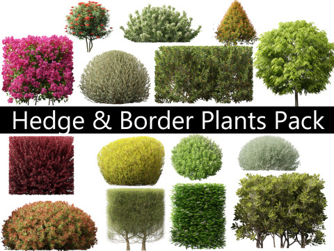 Pakket 26 haagborderplanten 3D Model