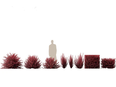 Pacchetto Piante da Siepe da Confine 26 Modello 3D