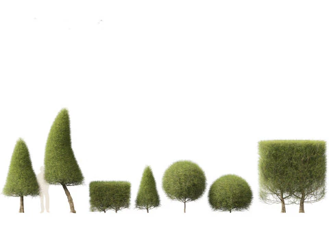 Pacchetto Piante da Siepe da Confine 26 Modello 3D