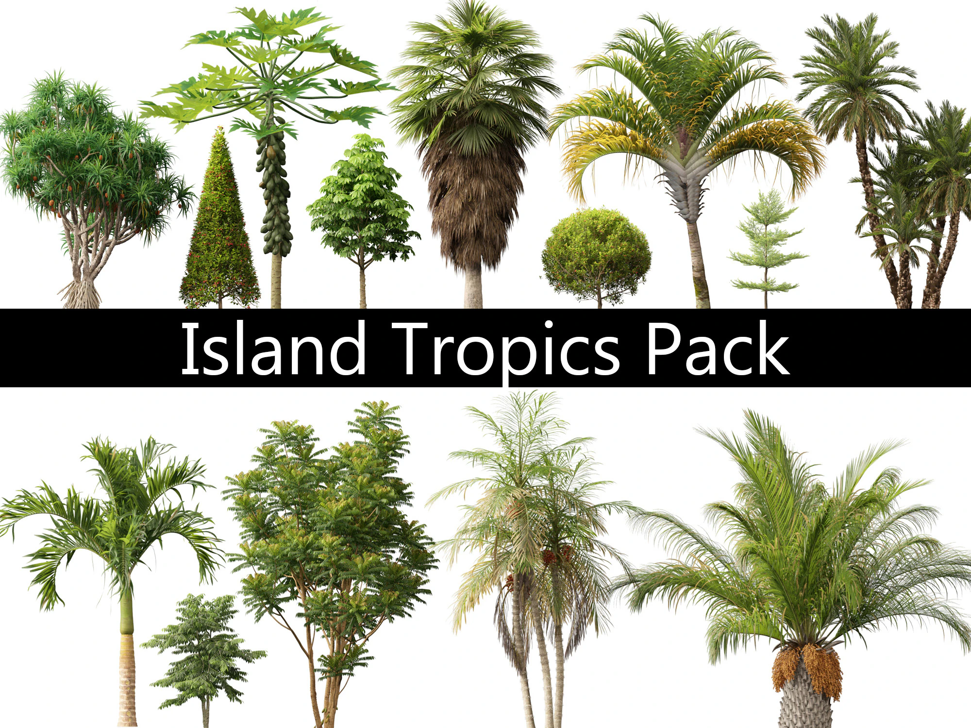 Island Tropics Pack 20 3D Model .c4d .max .obj .3ds .fbx .stl .blend 