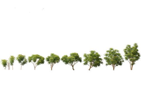 Island Tropics Pack 20 3D Model