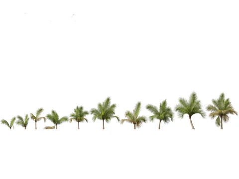 Island Tropics Pack 20 3D Model