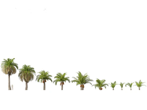 Island Tropics Pack 20 3D Model