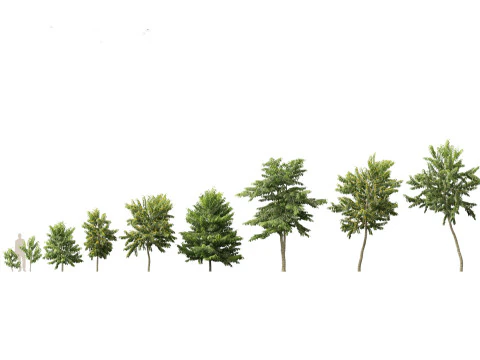 Island Tropics Pack 20 3D Model