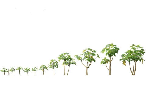Island Tropics Pack 20 3D Model