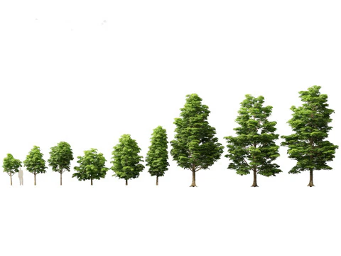 Island Tropics Pack 20 3D Model