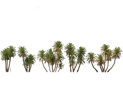Island Tropics Pack 20 3D Model