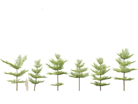 Island Tropics Pack 20 3D Model