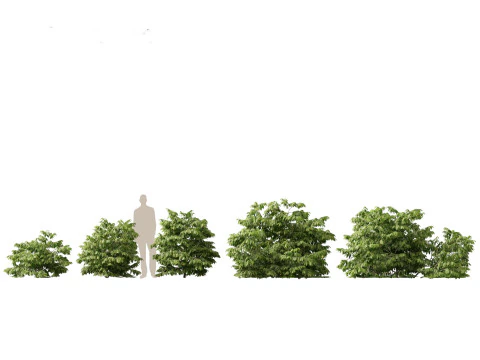 Island Tropics Pack 20 3D Model
