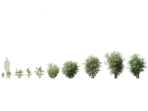 Jungle Foliage Pack 16 3D Model