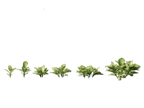 Pacote de Folhagem da Selva 16 Modelo 3D