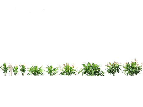 Jungle Foliage Pack 16 3D Model