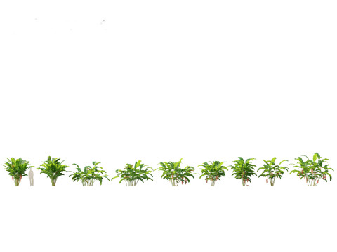 Pacote de Folhagem da Selva 16 Modelo 3D