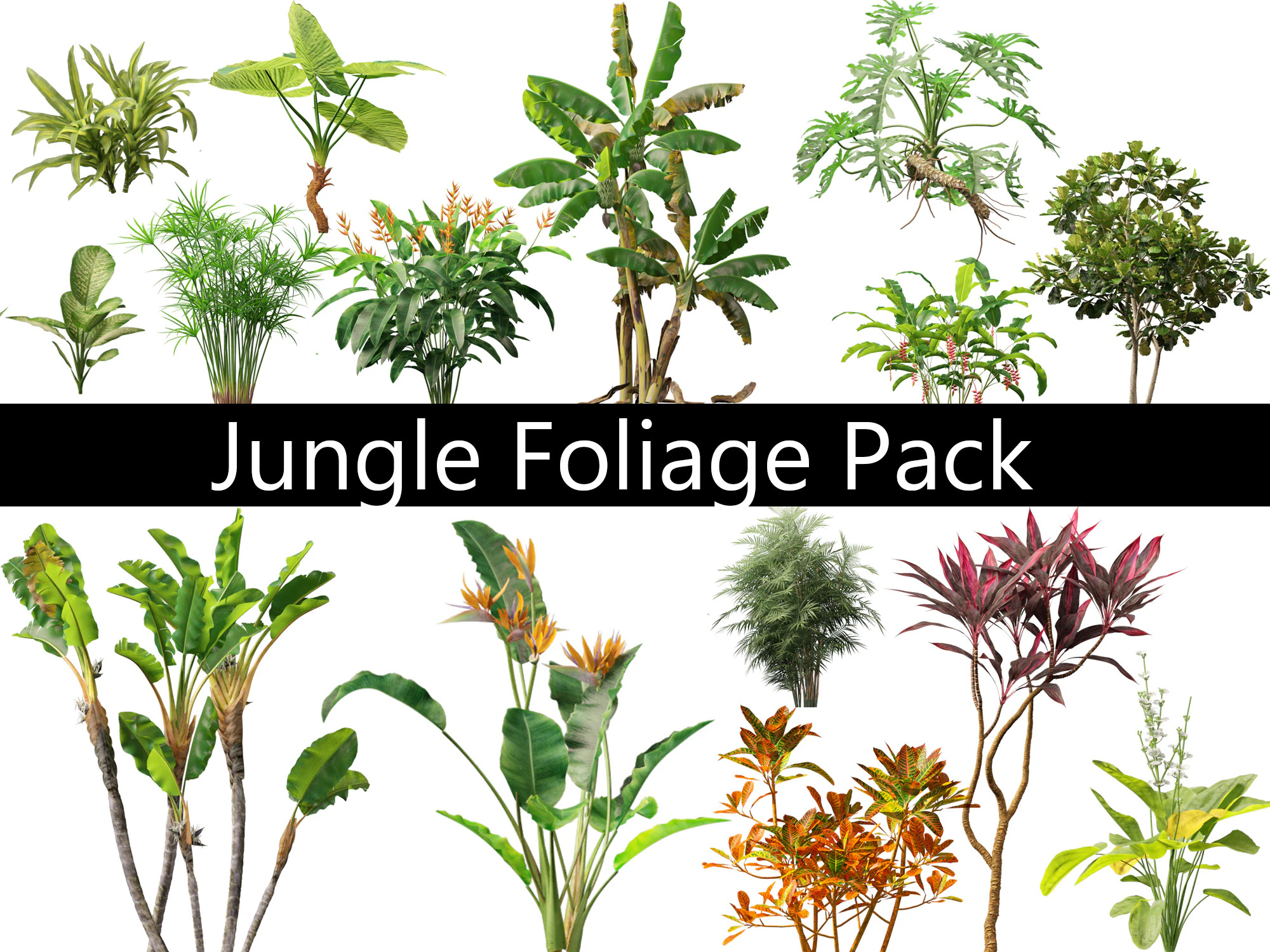 Jungle Foliage Pack 16 3D Model .c4d .max .obj .3ds .fbx .stl .blend