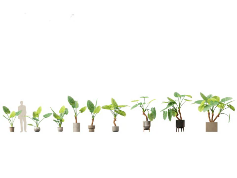 Large Potted Greenery Pack 40 3D Model