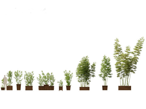 Pacote Grande de Verdura em Vaso 40 Modelo 3D