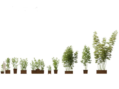Large Potted Greenery Pack 40 3D Model