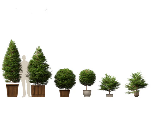 Large Potted Greenery Pack 40 3D Model