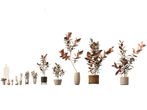 Pacote Grande de Verdura em Vaso 40 Modelo 3D