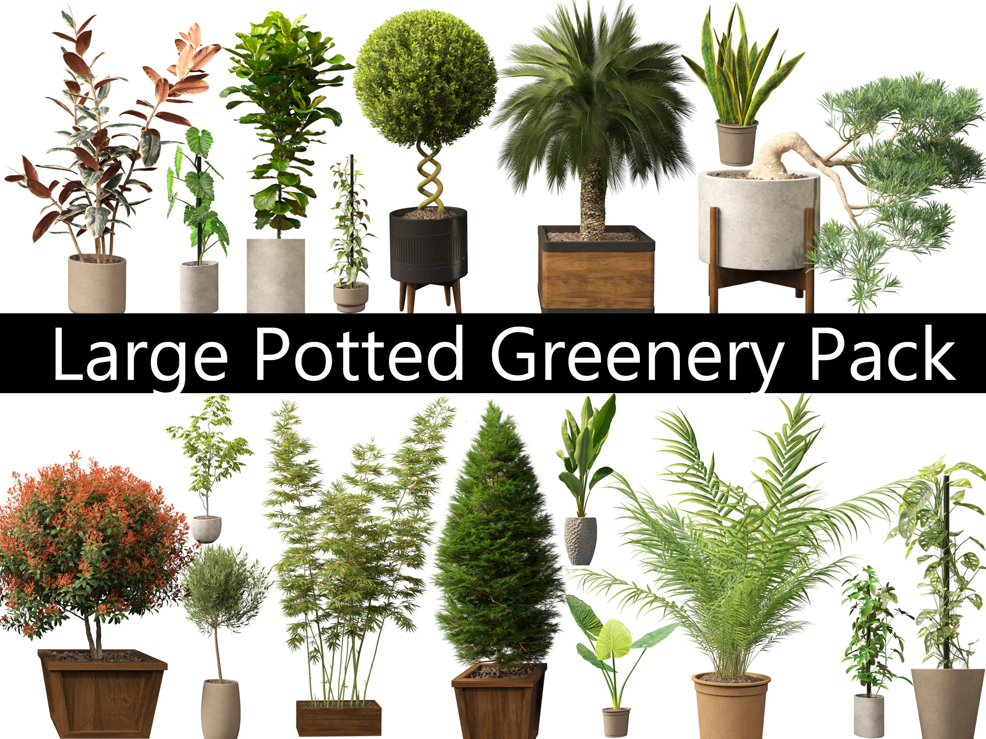 Large Potted Greenery Pack 40 3D Model .c4d .max .obj .3ds .fbx .stl .blend 