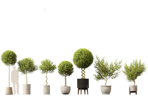 Pacote Grande de Verdura em Vaso 40 Modelo 3D