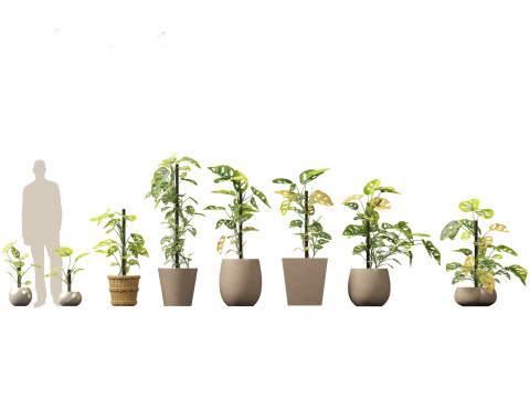 Pacote Grande de Verdura em Vaso 40 Modelo 3D