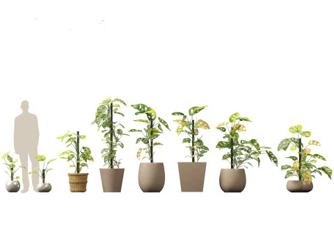Large Potted Greenery Pack 40 3D Model