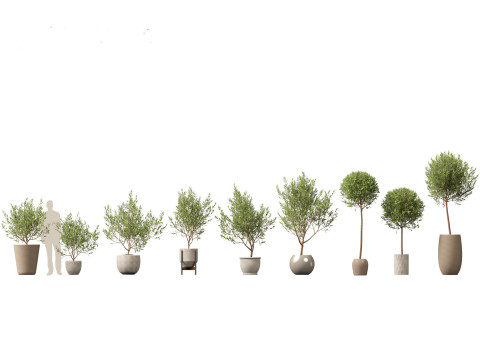 Pacote Grande de Verdura em Vaso 40 Modelo 3D