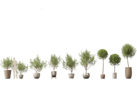 Large Potted Greenery Pack 40 3D Model