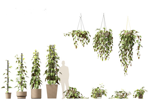 Pacote Grande de Verdura em Vaso 40 Modelo 3D