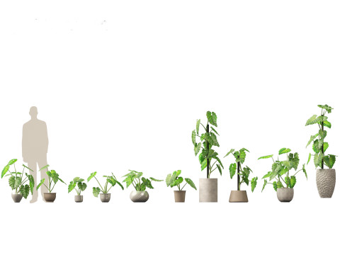 Pacote Grande de Verdura em Vaso 40 Modelo 3D