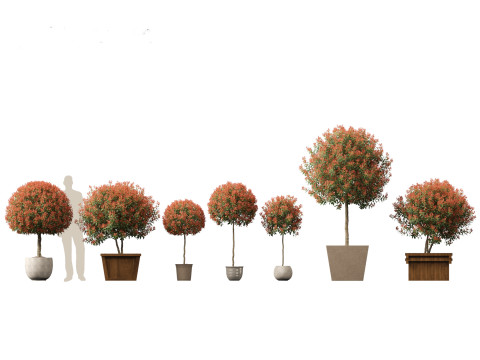 Pacote Grande de Verdura em Vaso 40 Modelo 3D