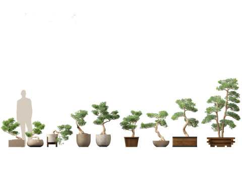 Pacote Grande de Verdura em Vaso 40 Modelo 3D