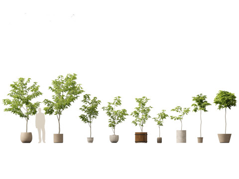 Pacote Grande de Verdura em Vaso 40 Modelo 3D