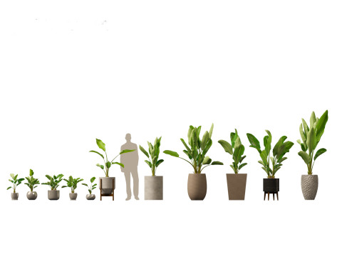 Pacote Grande de Verdura em Vaso 40 Modelo 3D