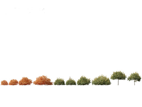 Pacchetto 43 di arbusti di alberi nordamericani Modello 3D