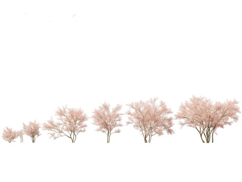 Pacchetto 43 di arbusti di alberi nordamericani Modello 3D